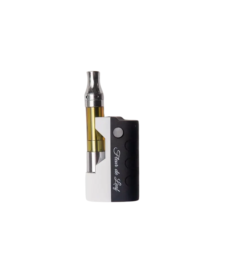 Mini Voodoo Battery 2 Mini Voodoo Battery