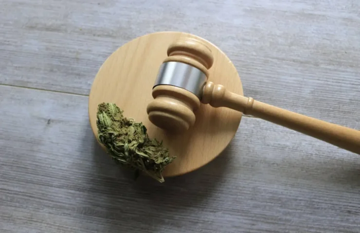 Louisiana THC Laws & Regulations [2025]